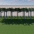 Outdoor White Pergola Structure With Lush Green Vines And Grass Lawn