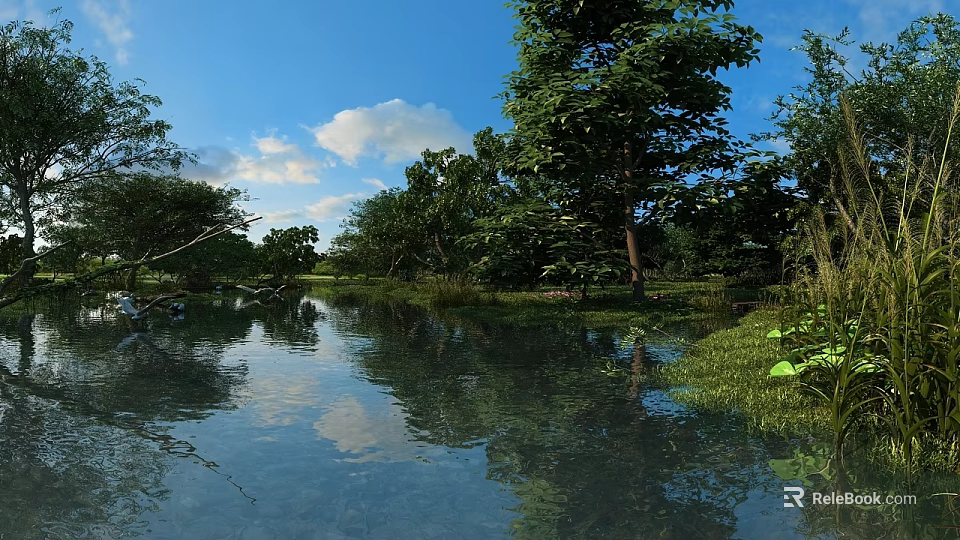 Park Landscape With Calm Pond Lush Trees Blue Sky And Clear Water Reflections 3d model 