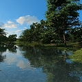 wetland park lake waterscape ecological park zhaoze wetland marshland ecological culture wetland landscape white 3d model