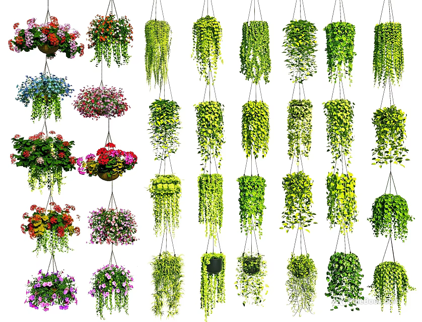 Different Varieties of Lush Hanging Basket Plants with Colorful Flowers and Green Foliage 3d model 