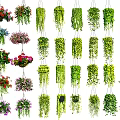 Different Varieties of Lush Hanging Basket Plants with Colorful Flowers and Green Foliage