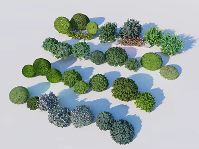 Diverse Shaped And Colored Shrubs For Garden Landscaping And Decoration 3d model
