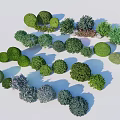Diverse Shaped And Colored Shrubs For Garden Landscaping And Decoration