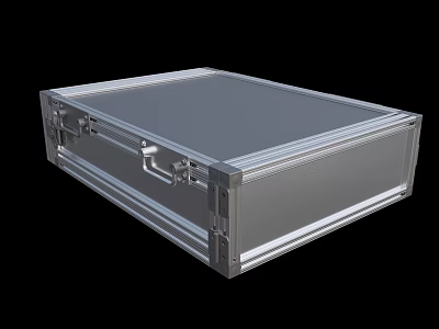 Commercial Equipment Storage Case With Silver Aluminum Frame Handle And Secure Lock 3d model