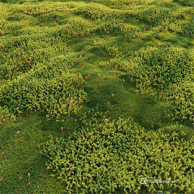 Natural Moss Decorative Ornament Set With Green Plants And Small Red Accents 3d model 