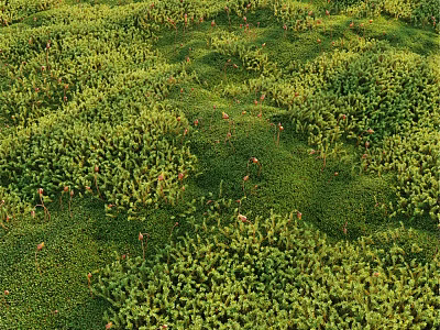 Natural Moss Decorative Ornament Set With Green Plants And Small Red Accents 3d model