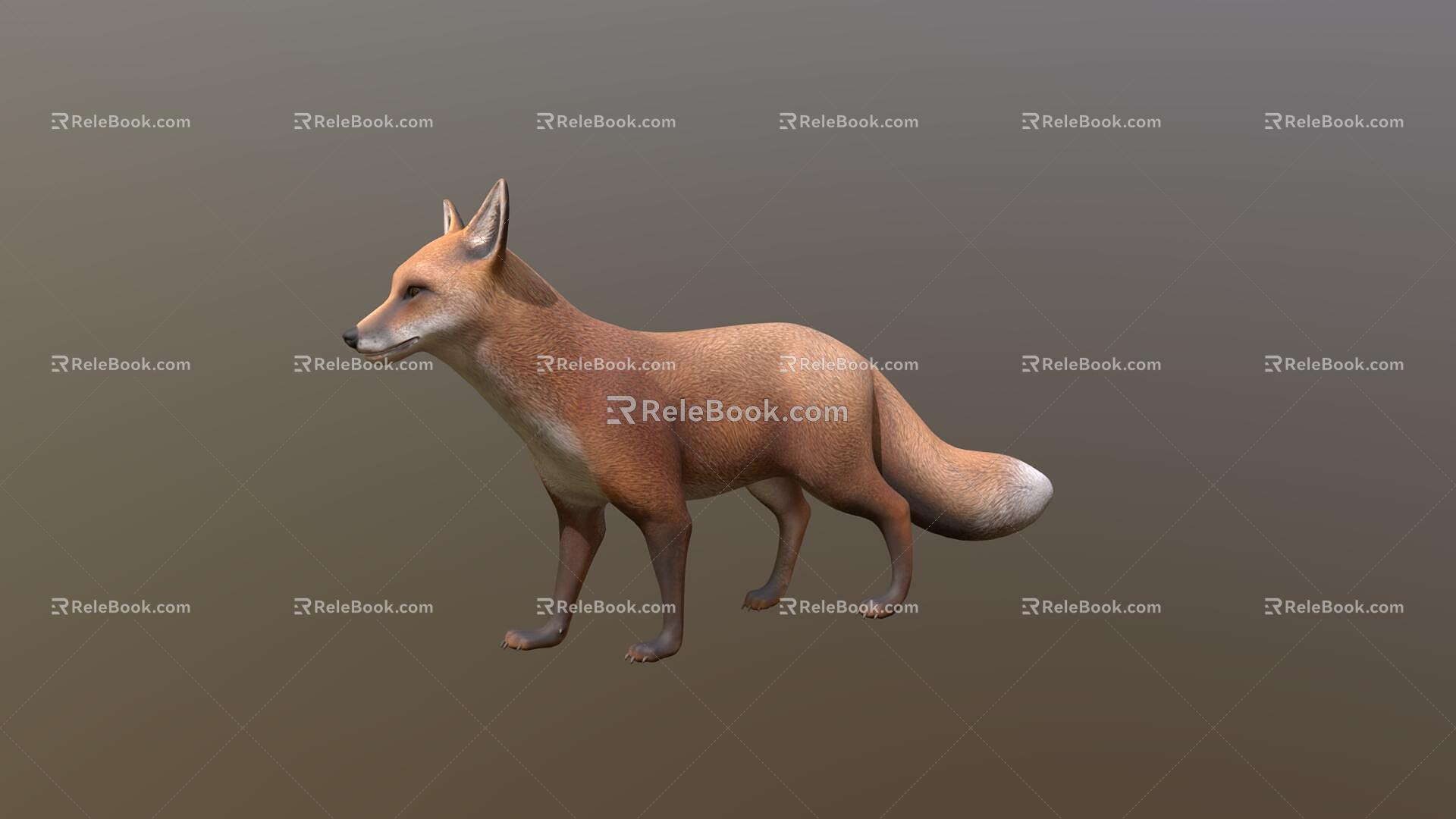 Fox 3d model