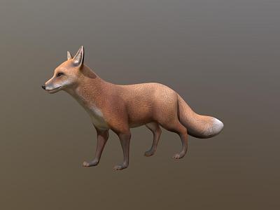 Fox model