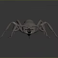 Metallic Ant 3D Model With Shiny Surface And Detailed Legs On Dark Background