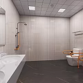 Modern Other Restroom Interior with Light Tiled Walls Dark Floor White Sink Mirror and Toilet
