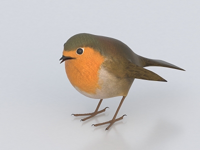 Modern Birds 3d model