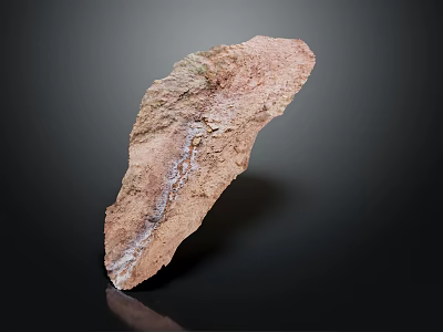 Natural Garden Landscape Design With Decorative Stone Featuring Textured Surface And Garden Decoration 3d model
