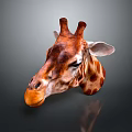 Detailed Giraffe Head With Brown Spots And Horns On Dark Background