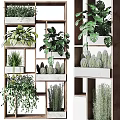 Indoor Vertical Garden Decor With Multi Tiered Wooden Shelves And Green Plants