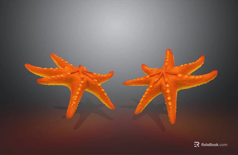 Two Orange Starfish With Spotted Texture On Gradient Grey Red Background 3d model