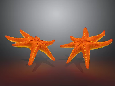 Two Orange Starfish With Spotted Texture On Gradient Grey Red Background 3d model