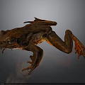 Brown Spotted Frog With Detailed Skin And Prominent Eyes On Dark Background