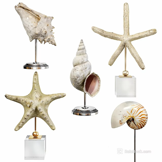 Elegant Decorative Ornament Set with Starfish Conch and Nautilus on Metal Bases 3d model 