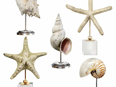 Elegant Decorative Ornament Set with Starfish Conch and Nautilus on Metal Bases 3d model