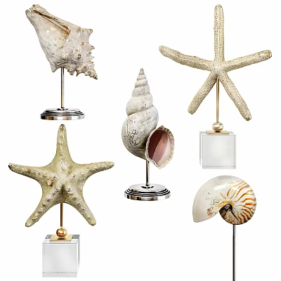 Elegant Decorative Ornament Set with Starfish Conch and Nautilus on Metal Bases 3d model