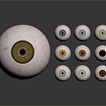 modern eye structure human eye structure eyeball eye cross section 3d model