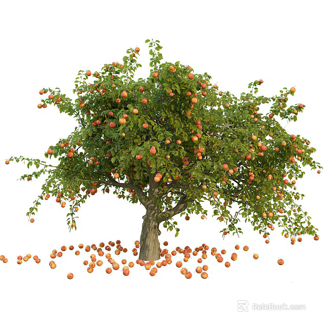 Apple Tree with Abundant Ripe Fruits on Branches and Fallen Apples Scattered Around Trunk 3d model 