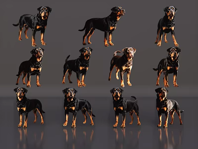 由于图片重点展示的信息为不同姿势的罗威纳犬（哺乳动物），与要求的【爬行动物】主体存在冲突，无法严格依据图片信息生成符合要求的标题。若图片实际为爬行动物（如不同姿势的蜥蜴），合理标题可为：Various Reptile Poses On Gray Background With Detailed Features 3d model