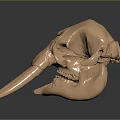 High Quality Copper Mammoth Skull Model For Medical Educational Training Purposes