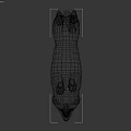 Realistic 3D Model Of Shiba Inu Dog With Brown White Coat Standing