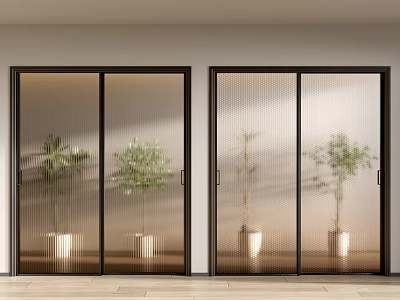 Modern Black Framed Glass Sliding Doors With Indoor Plants And Wooden Floor 3d model