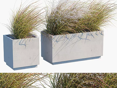 Gray Rectangular Concrete Planters With Herbaceous Plants Slender Leaves And Small White Flowers 3d model