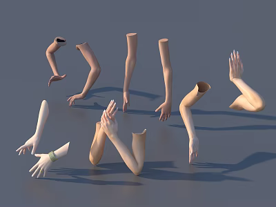 Realistic 3D Models of Human Arms and Hands in Different Poses for Design Projects 3d model