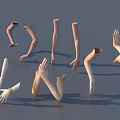 Realistic 3D Models of Human Arms and Hands in Different Poses for Design Projects