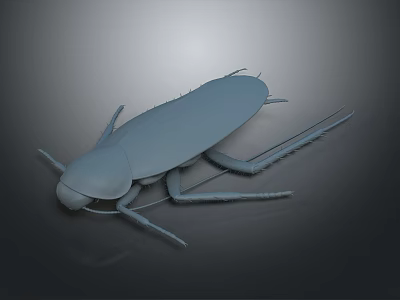 Gray Cockroach 3D Model with Long Antennae and Legs on Dark Background Showing Reflection 3d model