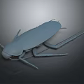 Gray Cockroach 3D Model with Long Antennae and Legs on Dark Background Showing Reflection