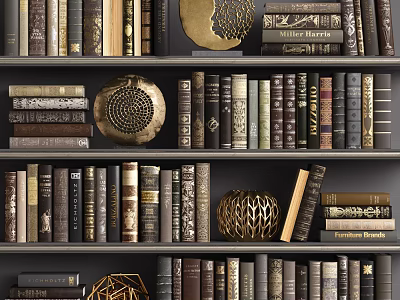 Organized Hardcover Books And Magazines On Wooden Bookshelf With Decorative Items 3d model