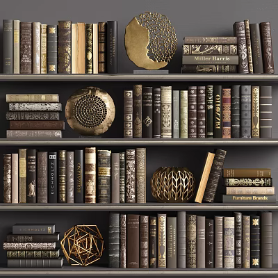 Organized Hardcover Books And Magazines On Wooden Bookshelf With Decorative Items 3d model