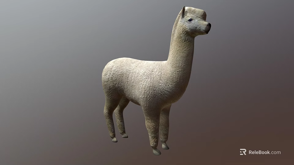 Realistic White Fluffy Alpaca Standing 3D Model with Soft Fur Texture 3d model