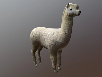 Realistic White Fluffy Alpaca Standing 3D Model with Soft Fur Texture 3d model
