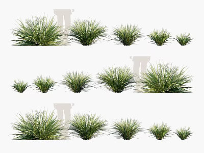Various Sizes of Green Leafy Shrubs for Garden Landscaping Design Projects 3d model