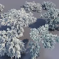 Multiple Snow Covered Shrubs With Various Shapes And Sizes On Gray Background