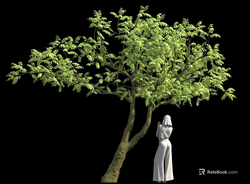 Green Leafy Tree With Forked Trunk And White Dress Female Statue On Black Background 3d model 