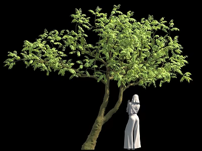 Green Leafy Tree With Forked Trunk And White Dress Female Statue On Black Background 3d model