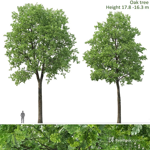 Decorative Ornament Set Featuring Two Green Trees And Natural Landscape Elements 3d model 