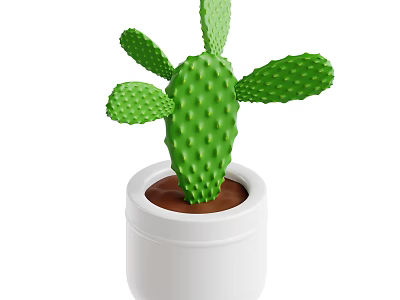 Indoor Green Prickly Decorative Cactus Plant In White Pot With Brown Soil 3d model
