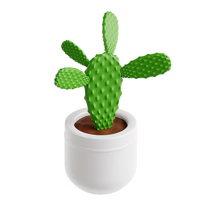 Indoor Green Prickly Decorative Cactus Plant In White Pot With Brown Soil 3d model