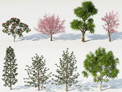 Various Arbor Trees With Flowering Pink Blossoms Green Leaves and Coniferous Foliage 3d model