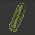 Natural Wooden Log With Green Moss And Fresh Grass On Dark Background
