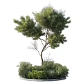 Modern tree pool shrub flower bed 3d model