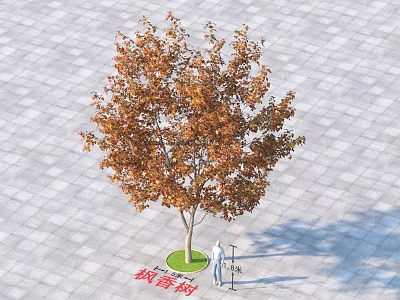 Camphor Tree With Orange Leaves Standing On Square Gray Pavement Near Person And Street Lamp 3d model